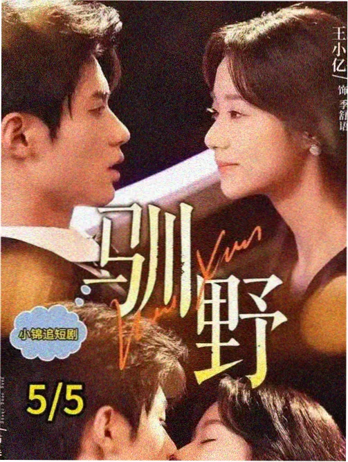 山海情电视剧在线观看海报